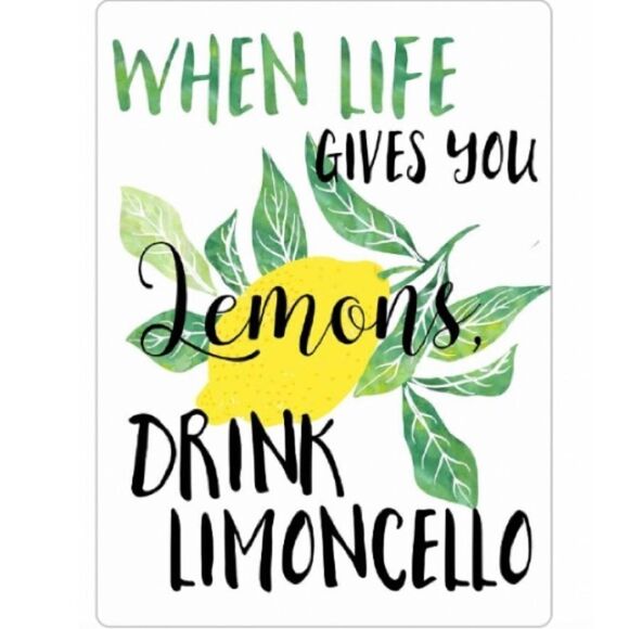 “When Life Gives You Lemons 🍋, Drink Limoncello” Magnet - Picture 2 of 2